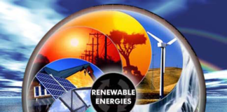 GreenJobs, il futuro dell’ occupazione è verde